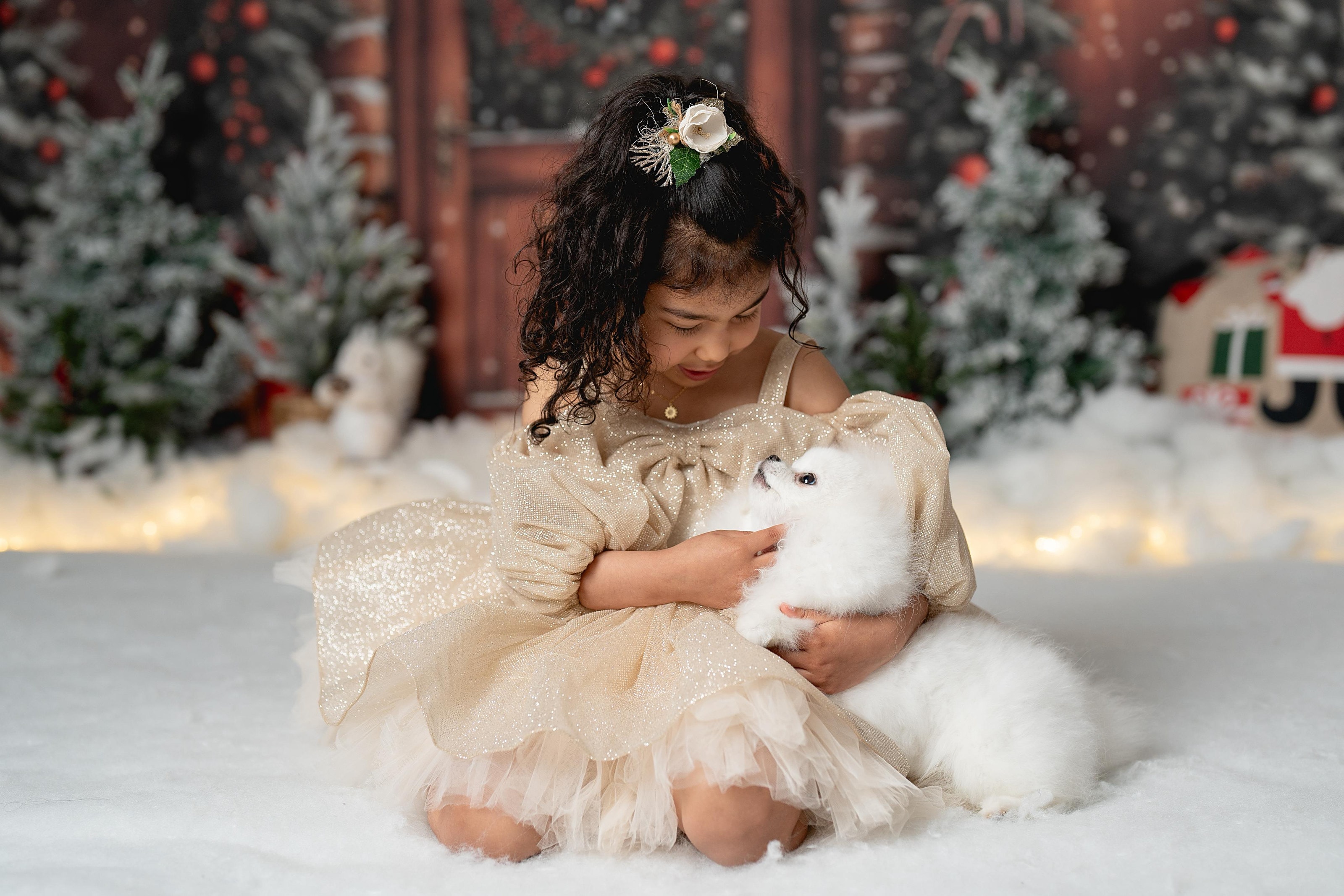 Niña con un vestido de tul abrazando a un Pomerania blanco, con árboles de Navidad y una puerta de madera detrás